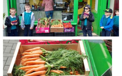 Incredible Edibles- Preparing & Cooking- Life Skills