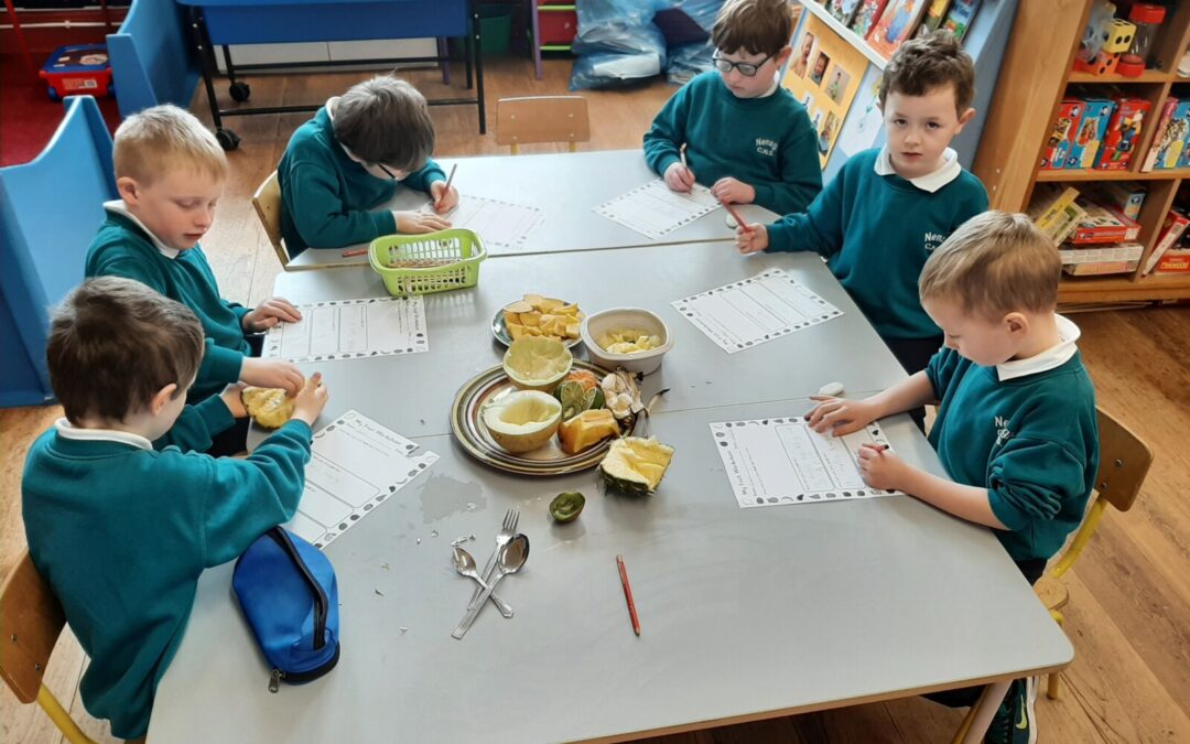 Fruit tasting in Chatty Kids
