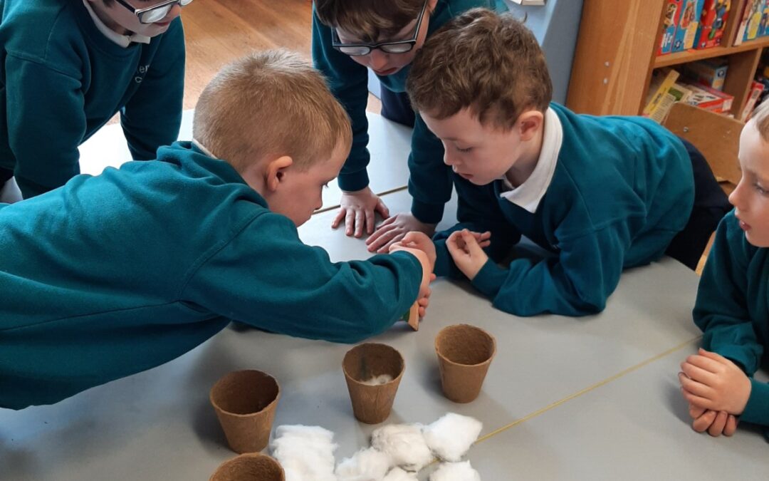 Planting seeds in Chatty Kids  class