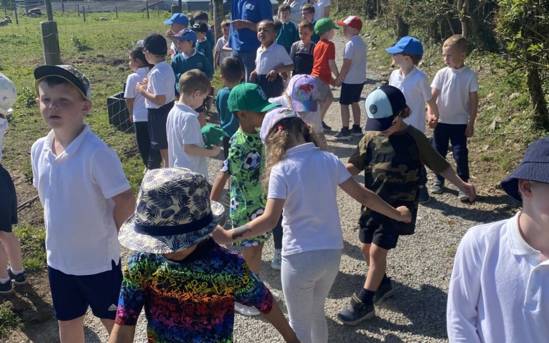Junior Infant School Tour to Tearaways