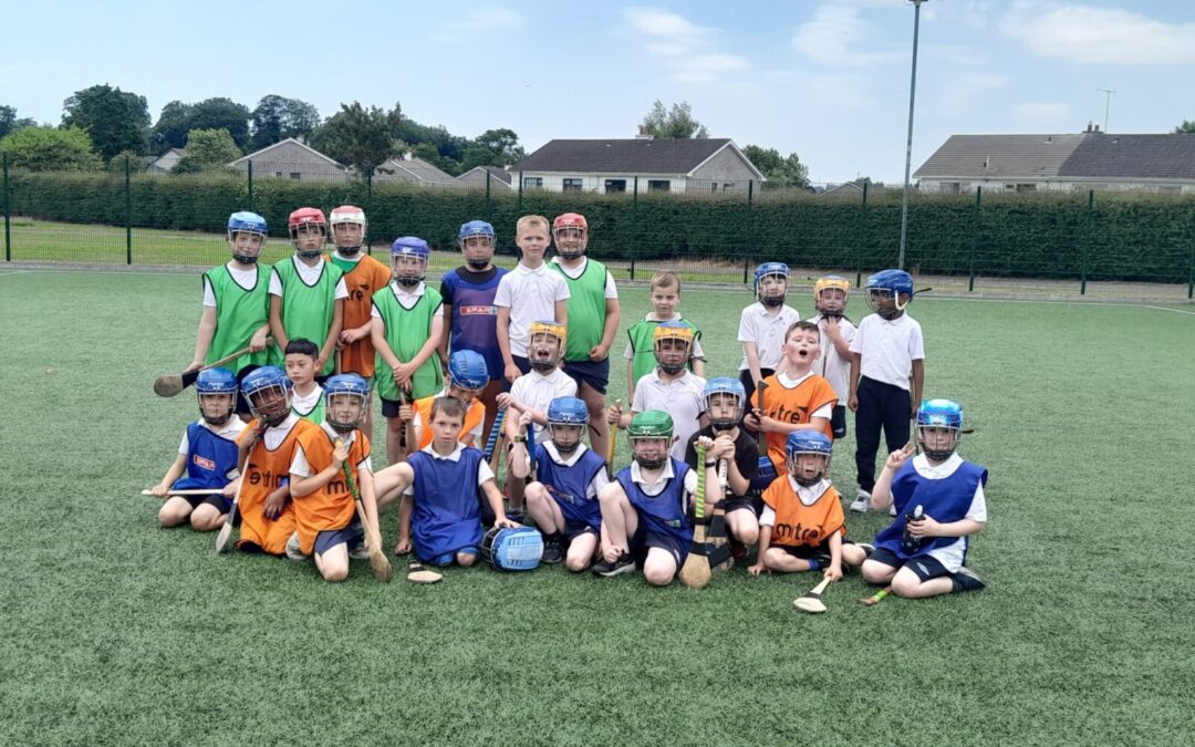 Hurling in Nenagh College