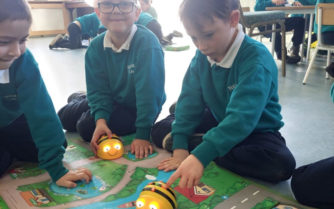 Maths week in Nenagh CNS