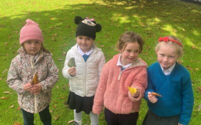 Autumn Walk in Junior Infants