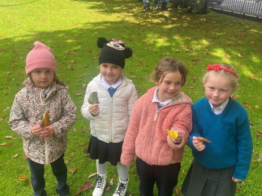Autumn Walk in Junior Infants