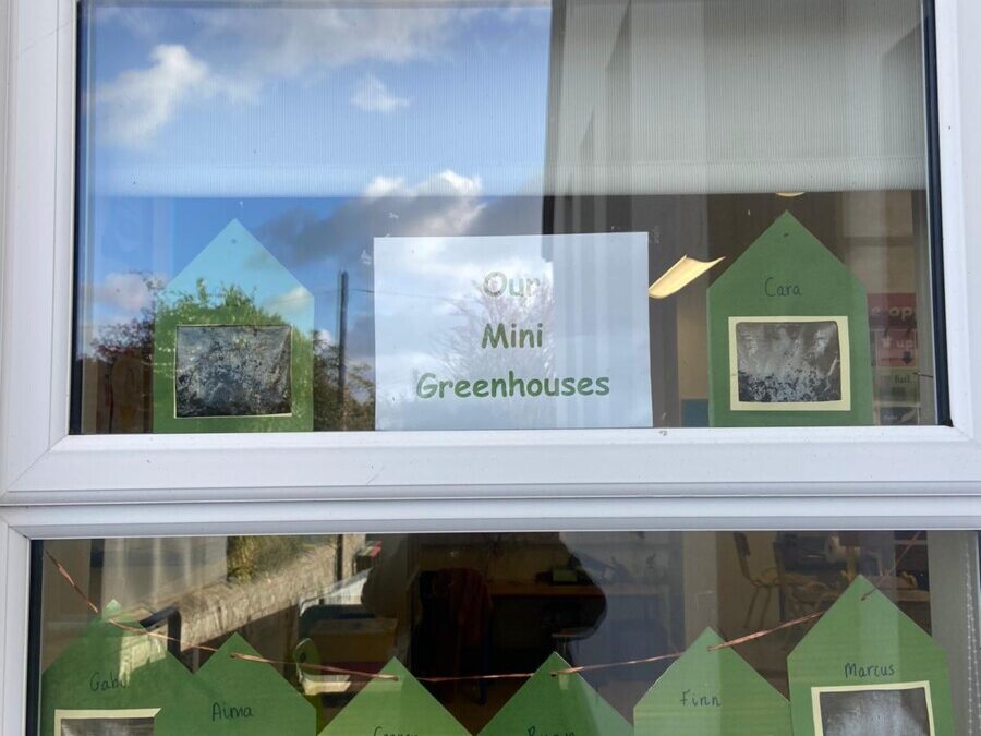 Activities in Senior infants