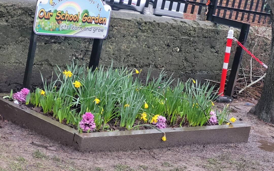 Signs of Spring