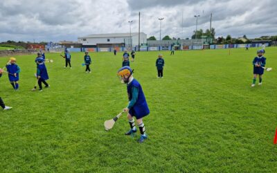 1st Class hurling in McDonagh Park