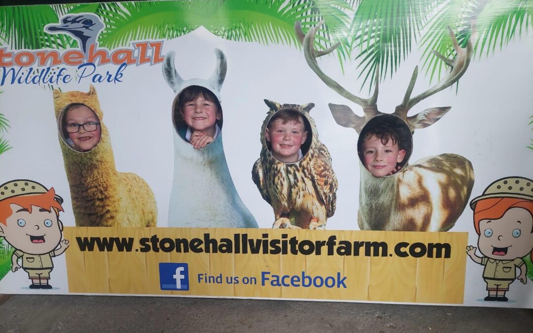 Senior Infant School Tour