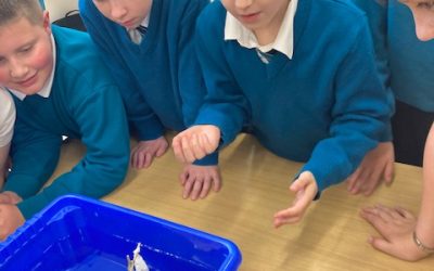 Science week in 4th class