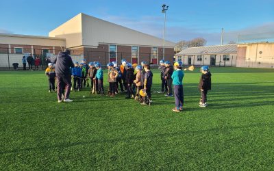 2nd Class Monday hurling in Nenagh College