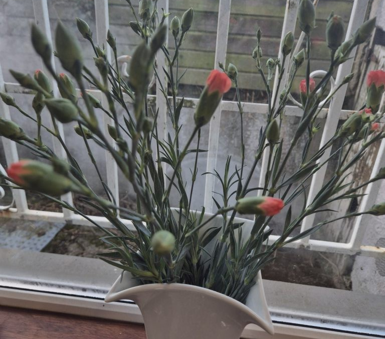 Flowers in Nurture