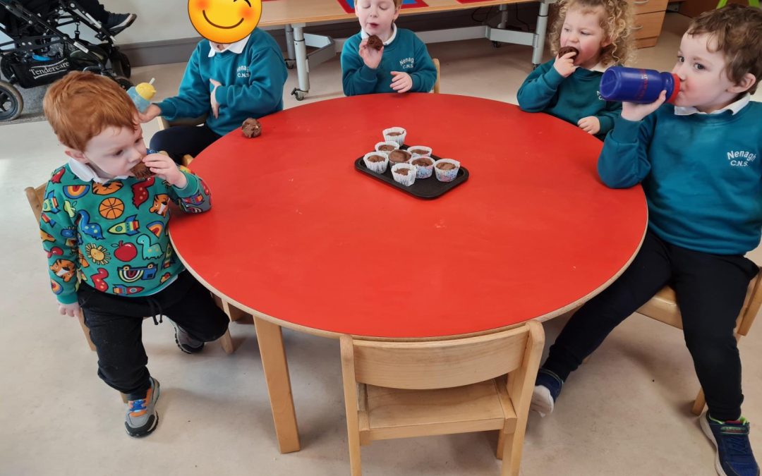 Chocolate chip muffins in Sonas