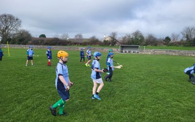 Hurling blitz for 2nd,3rd & 4th in McDonagh Park