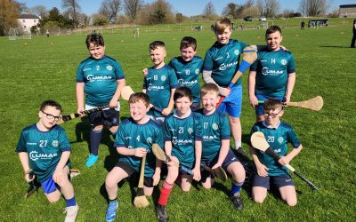 Hurling in Toomevara