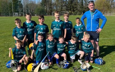 Hurling blitz in Toomevara