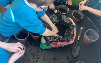 Gardening in Chatty Kids Class