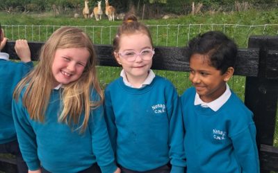 Senior infant school Tour