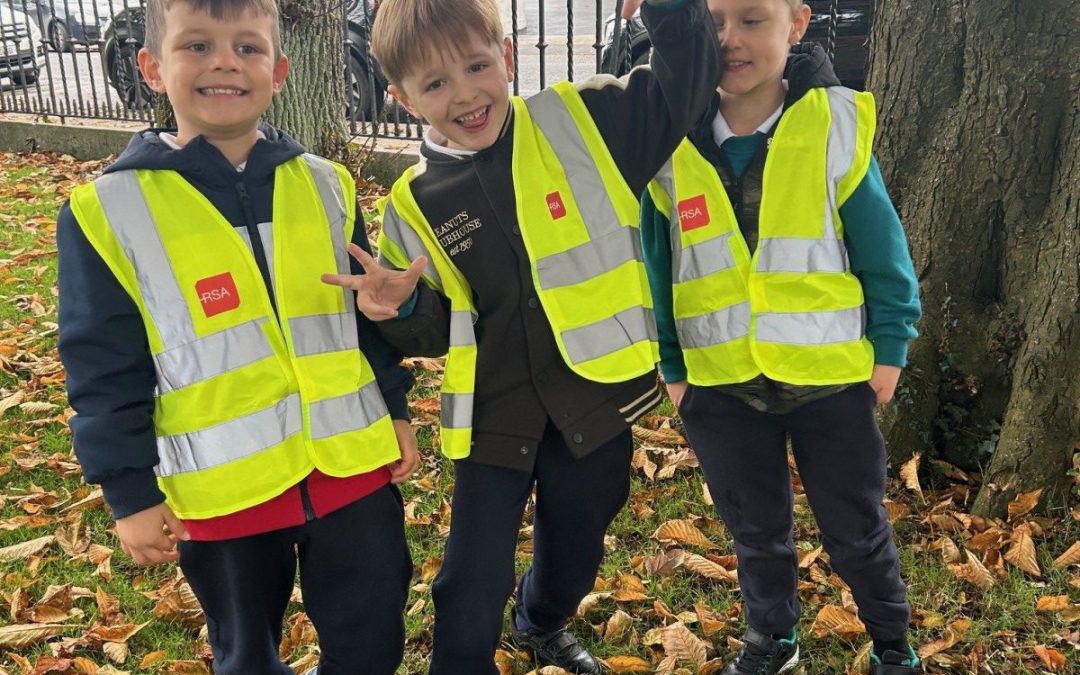 Junior infants Nature Walk