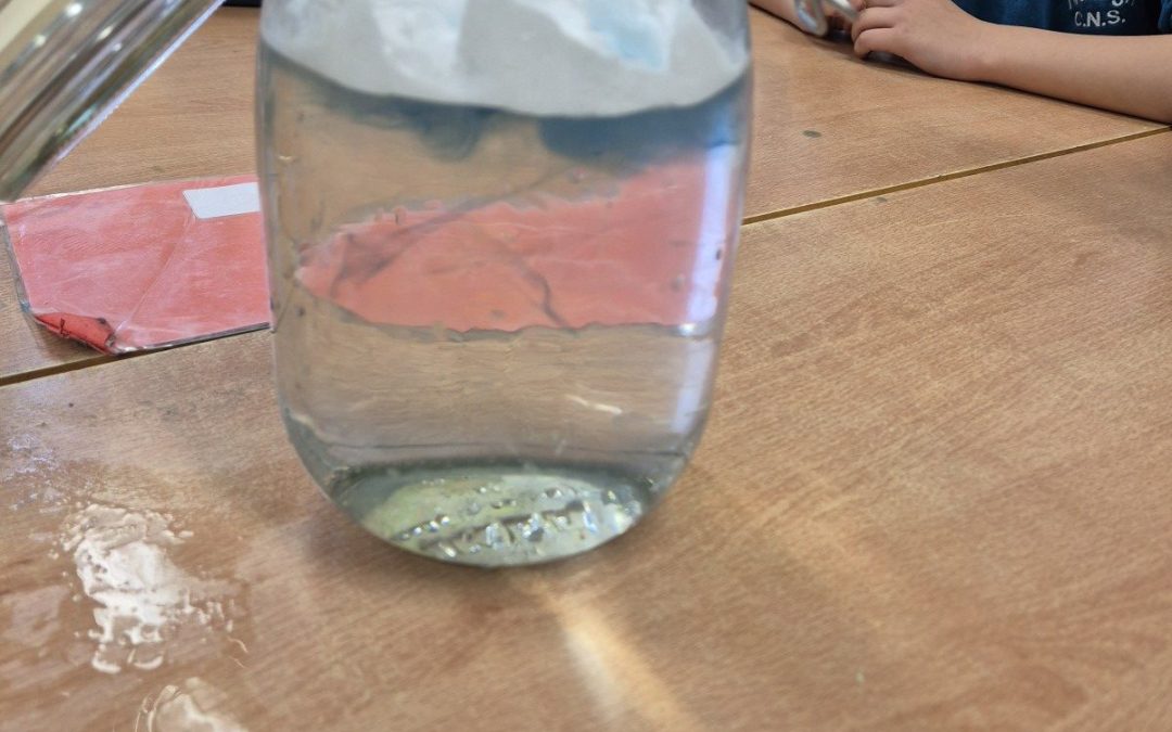 Science Week in First class