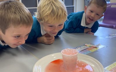 Science Week in Chatty Kids Class